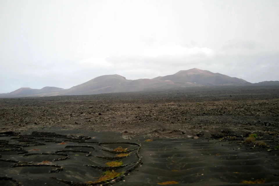 P1000844 960x640